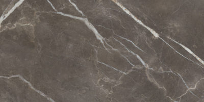Royal Stoneworks 24X48 Regal Brown Marble Vintage Pv