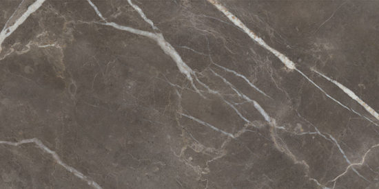 Royal Stoneworks 24X48 Regal Brown Marble Vintage Pv | Alita Tile