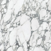 Royal Stoneworks 36X36 Italian Arabescato Polished | Alita Tile
