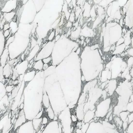 Royal Stoneworks 36X36 Italian Arabescato Polished | Alita Tile