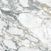 Royal Stoneworks 48X48 Italian Arabescato Polished | Alita Tile