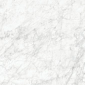Royal Stoneworks 48X48 Old World Bianco Polished | Alita Tile