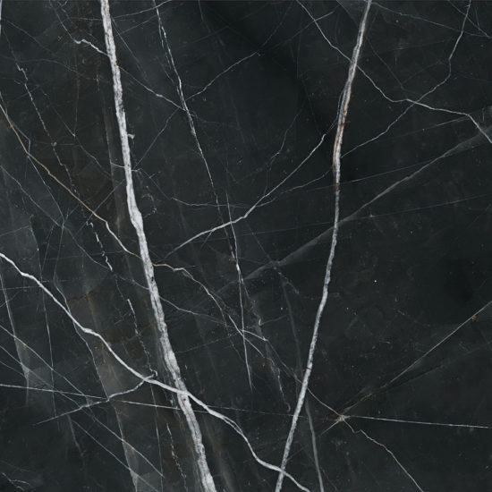 Royal Stoneworks 48X48 Regal Black Vein Honed | Alita Tile