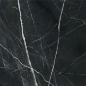 Royal Stoneworks 48X48 Regal Black Vein Polished | Alita Tile