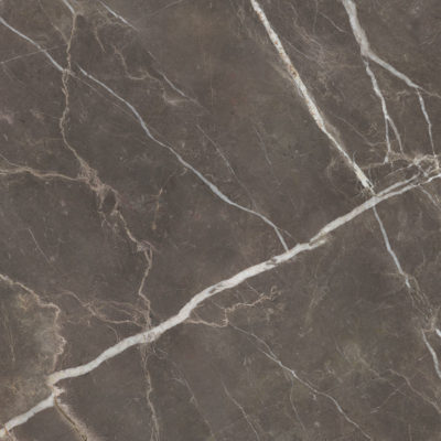 Royal Stoneworks 48X48 Regal Brown Marble Honed