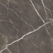 Royal Stoneworks 48X48 Regal Brown Marble Polished | Alita Tile