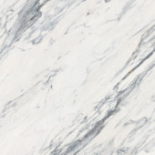 Royal Stoneworks 48X48 Regal White Vein Honed | Alita Tile