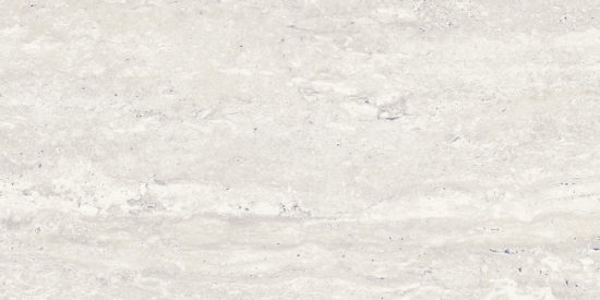Saturnia 12x24 Roman Matte | Alita Tile