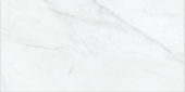 Altezza 12x24 Carrara | Alita Tile