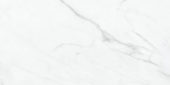 Altezza 12x24 Carrara | Alita Tile