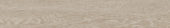 Aspen 6x36 Paper Birch | Alita Tile