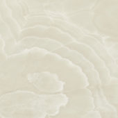 Lustra 48x48 Onyx Crema Honed | Alita Tile