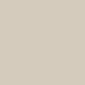Monoforma 24x24 Oasis Polished | Alita Tile