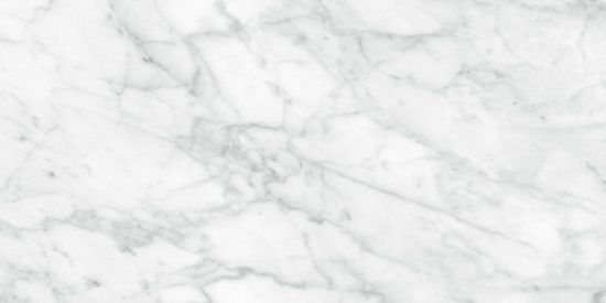 Plata 12x24 Carrara Abisso Matte | Alita Tile