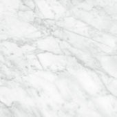 Plata 24x24 Carrara Abisso Matte | Alita Tile