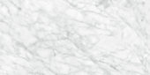 Plata 24x48 Carrara Abisso Polished | Alita Tile