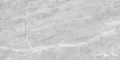 Plata 24x48 Perla Grigia Matte | Alita Tile