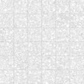 Station 2x2 Pearl | Alita Tile
