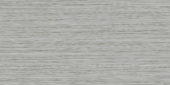 Zera Annex 12x24 Silver | Alita Tile